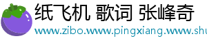 纸飞机 歌词 张峰奇